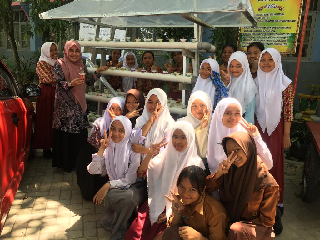 Hidroponik : Budidaya Menanam dengan Memanfaatkan Air tanpa Media Tanah